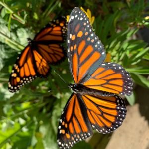 Meet your Posher, Kathryn